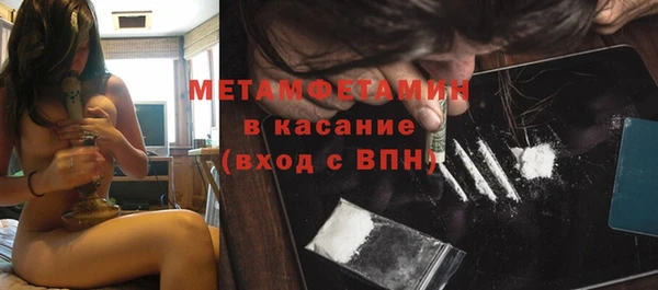мет Алексин