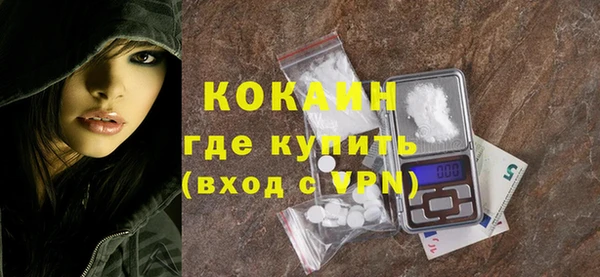 индика Абинск