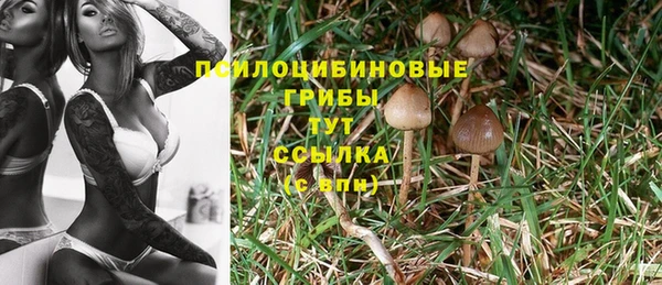 марки nbome Алзамай