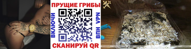 Псилоцибиновые грибы прущие грибы  кракен как войти  Дубна  купить  